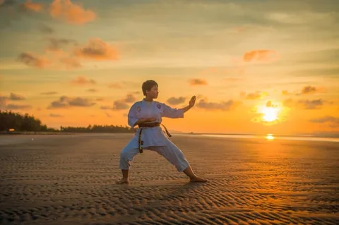 MMA & UFC — Kampf im Oktagon